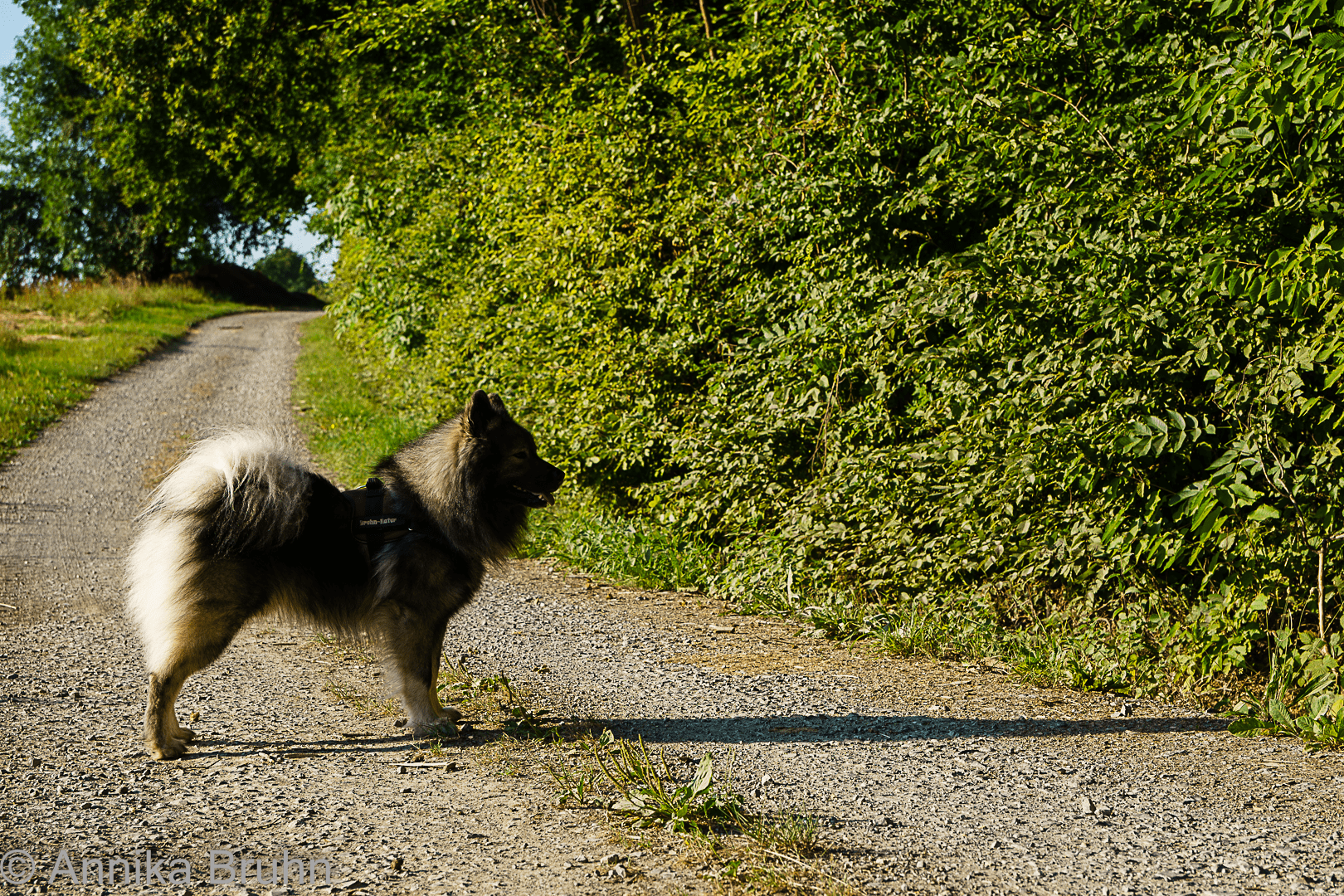 Ich zeig dir die kalte Schulter, liebe Sonne!